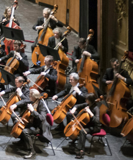 ORCHESTRE NICE.jpg